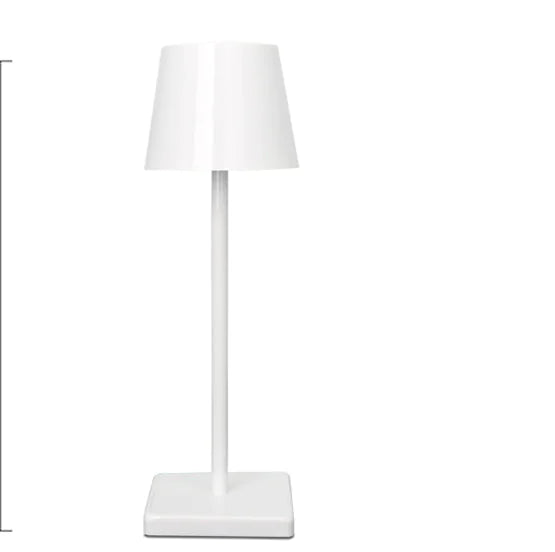 Zenith Lamp