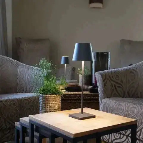 Zenith Lamp
